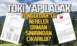 Zonguldak'ta nereler orman sınırı dışına çıkarıldı? TOKİ detayı!