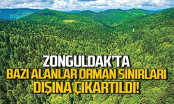 Zonguldak'ta bazı alanlar orman sınırları dışına çıkartıldı