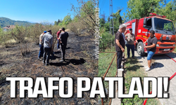 Alaplı’da trafo patladı orman yangını çıktı!
