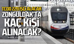 TCDD 229 işçi alacak! Başvurular başladı!
