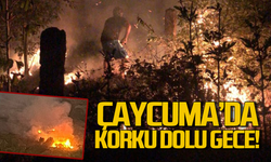 Çaycuma'da yangın alarmı! Alevler rüzgarın etkisiyle büyüdü!
