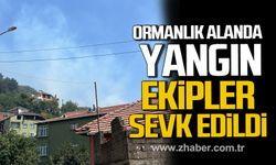 Çatalağzı'nda yangın! Ekipler sevk edildi!