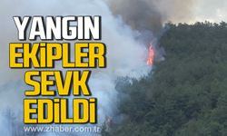 Karabük'te orman yangını! Ekipler sevk edildi!