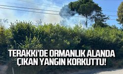 Terakki’de ormanlık alanda çıkan yangın korkuttu!