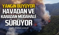 Karabük'te orman yangını büyüyor! Havadan ve karadan müdahale sürüyor!