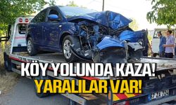 Zonguldak'ta direksiyon hakimiyetini kaybeden otomobil ağaca çarptı!