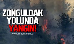 Zonguldak yolunda yangın!