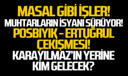 Masal gibi işler!