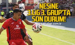 Nesine 3. Lig 3. Grup’ta son durum!