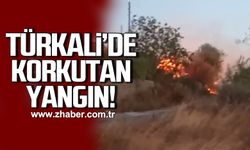 Türkali'de korkutan yangın!