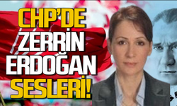 CHP’de Zerrin Erdoğan sesleri!