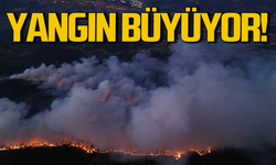 Yangınlar önlenemiyor: Hızla ilerliyor!