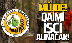 Orman Genel Müdürlüğü daimi işçi alacak!
