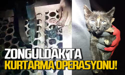 Zonguldak'ta kurtarma operasyonu: Başı mazgala sıkıştı!