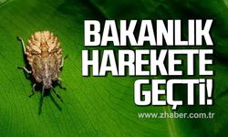 Bakanlık harekete geçti!
