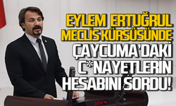 Eylem Ertuğrul meclis kürsüsünde c*nayetlerin hesabına sordu!