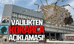 Valilik kokarca istilasına açıklama getirdi!