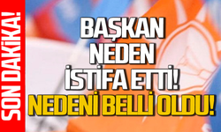 AK Parti’de şok istifanın nedeni belli oldu!