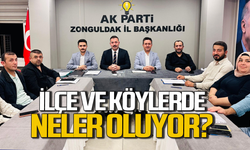 AK Parti teşkilatları toplandı: Toplantıda ne görüştüler?