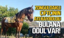 Devrekli çiftçinin atı kayboldu! Bulana ödül var