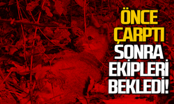 Bartın'da ilginç kaza: Önce çarptılar sonra ekipler gelene kadar beklediler!