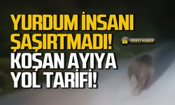 Koşan ayıya yol tarifi sordular!