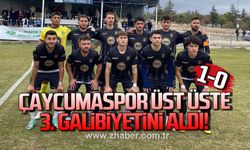 Çaycumaspor üst üste 3.galibiyetini aldı!
