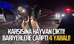 Hayvana çarpmamak için manevra yaptı bariyerlere çarptı!