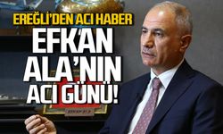 Ereğli'den acı haber! Efkan Ala'nın acı günü