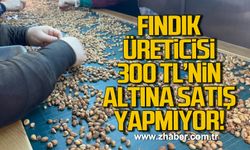 Zonguldak'ta fındık üreticisi 300 TL'nin altına satış yapmıyor!