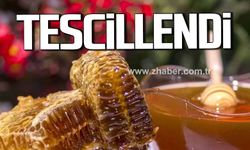 Devrek'te kestane balı tescillendi!