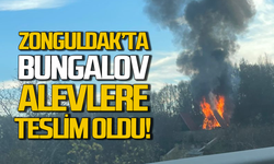 Zonguldak'ta bungalov alev aldı: Ormanda tehlikeli anlar!