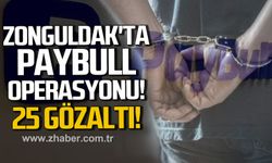Zonguldak'ta paybull operasyonu! 25 gözaltı!