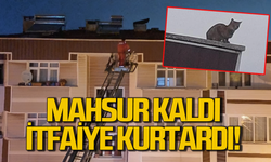 Çatıda mahsur kalan kediyi itfaiye operasyonla kurtardı!