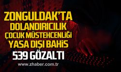 Zonguldak'ta siber suç operasyonu! 539 gözaltı!