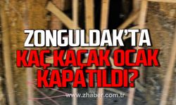 Vali Hacıbektaşoğlu açıkladı! Zonguldak'ta kaç kaçak ocak kapatıldı?