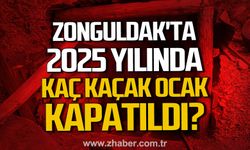 Zonguldak'ta 2025 yılında kaç kaçak ocak kapatıldı?