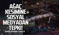 Zonguldak'ta ağaç kesimine sosyal medyadan tepki!