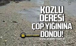 Kozlu deresi çöp yığınına döndü!