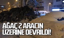 Kar ağırlığına dayanamayan ağaç 2 aracın üzerine devrildi!