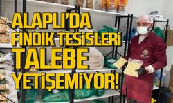 Alaplı'da fındık tesisleri talebe yetişemiyor!