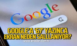 Google’a “67” yazınca ekran neden sallanıyor?