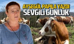 Sevgili Günlük