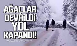 Karabük'te ağaçlar devrildi yol kapandı, araçlar kayıp kaza yaptı