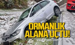 Alaplı’da otomobil yoldan çıktı