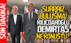 Ankara'da sürpriz buluşma: Kılıçdaroğlu-Demirtaş ne konuştu?
