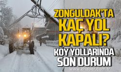Zonguldak'ta kaç köy yolu kapalı? 18 Ocak 2026