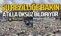 Kozlu Sahili'nde rezillik. Atilla Öksüz bildiriyor.