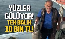 Tek balık 10 bin TL! Yüzler gülüyor!