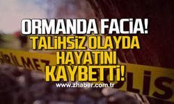 Bartın’da ağaç kesimi faciası: Cemal Kurt hayatını kaybetti!